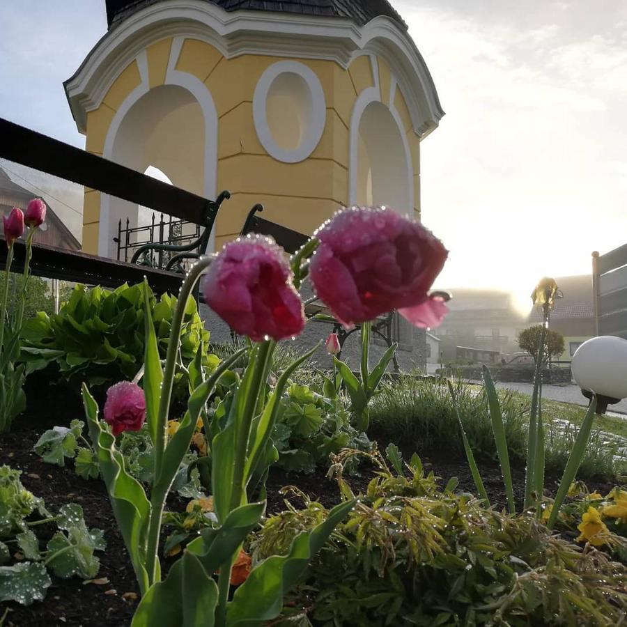 Gasthof Zur Schmiede Berg im Drautal Ngoại thất bức ảnh